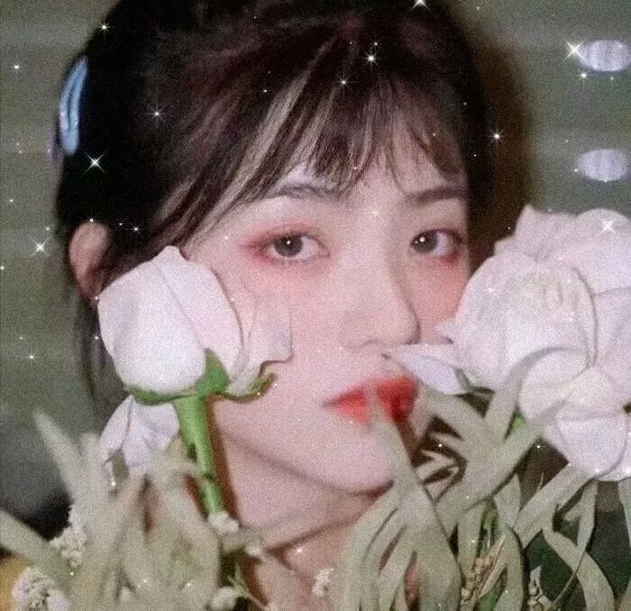 爱你是最美的时光